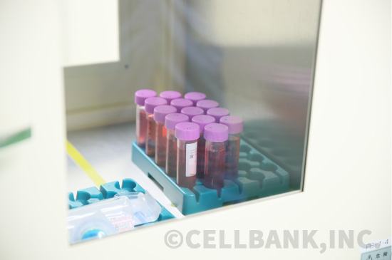 細胞保管セルバンク