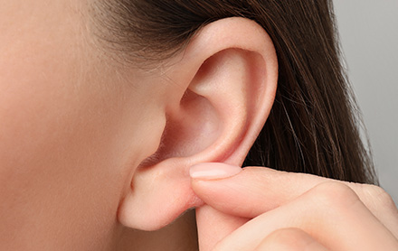 肌年齢が若い耳の裏から皮膚を採取。傷跡は目立ちません