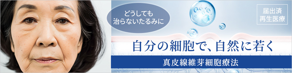 真皮線維芽細胞療法で安全に自然な若さ
