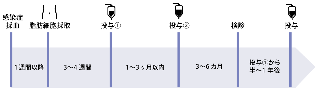 自己脂肪由来幹細胞治療の施術の流れ